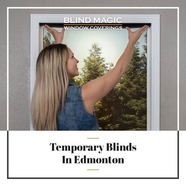 Blog Post: Temporary Blinds in Edmonton