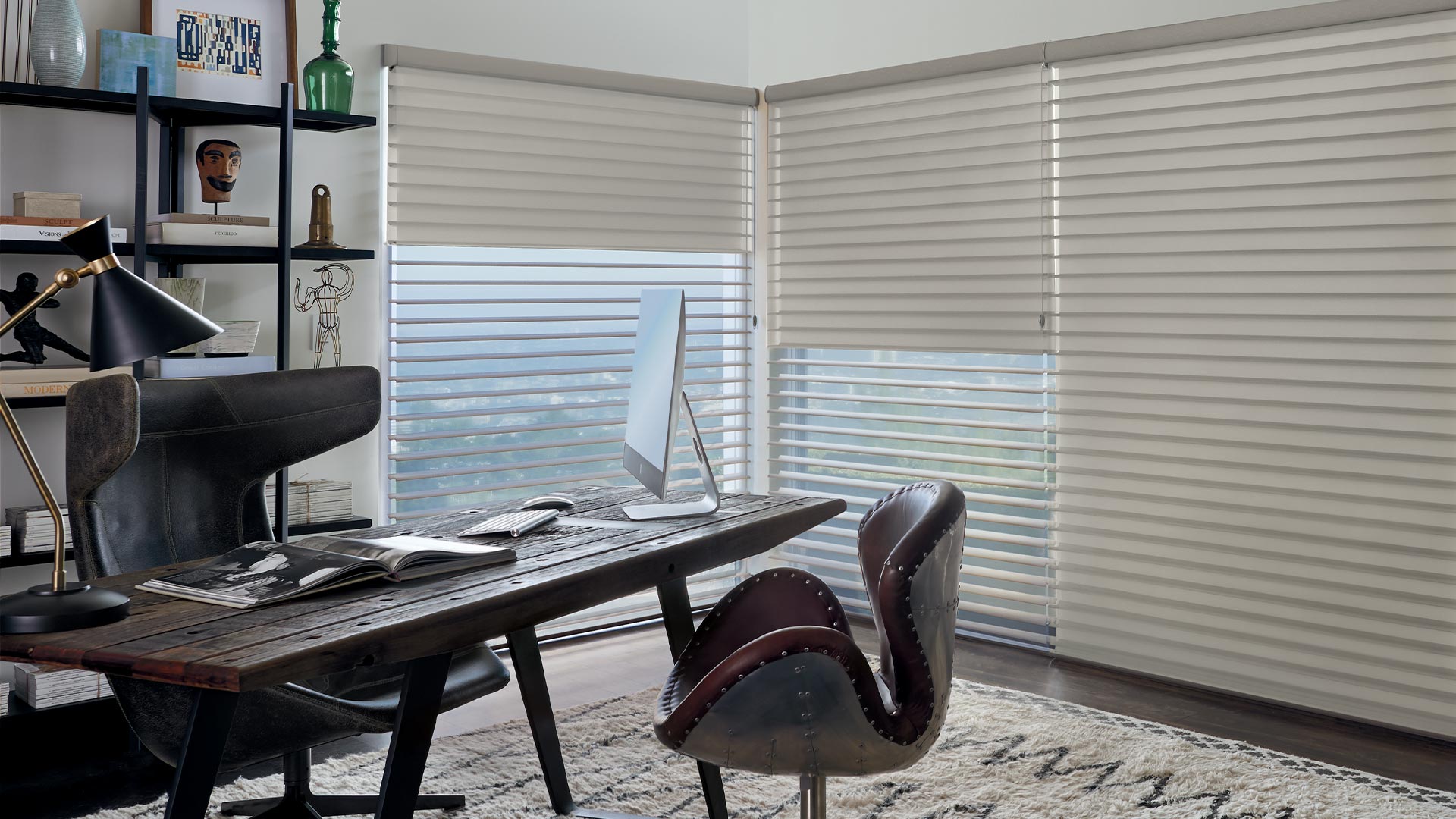 Hunter Douglas Silhouette® Duolite Shadings