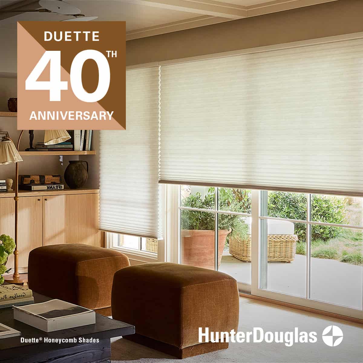 Soft beige window blinds in a cozy living room setting, featuring Hunter Douglas Duette Honeycomb Shades for energy efficiency and aesthetic appeal. Perfect for modern home interior decor.